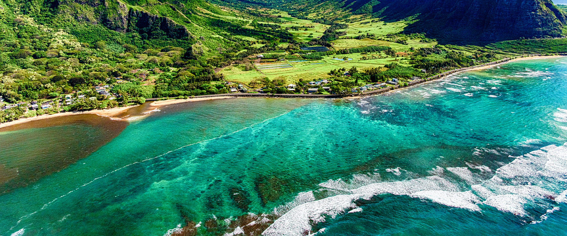The Ultimate Guide to Beer Festivals in Honolulu County, Hawaii