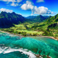 The Ultimate Guide to Beer Festivals in Honolulu County, Hawaii