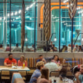 The Cultural Experience of Beer Festivals in Honolulu County, Hawaii