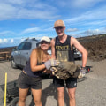 The Ultimate Guide to Volunteering at Beer Festivals in Honolulu County, Hawaii