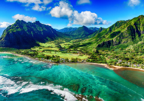 The Ultimate Guide to Beer Festivals in Honolulu County, Hawaii